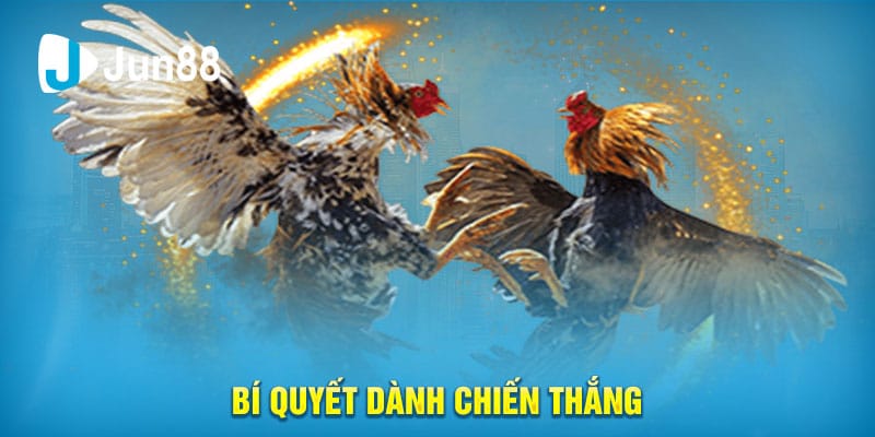 Bí quyết dành chiến thắng